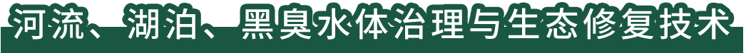 河流、湖泊、黑臭水體治理與生態(tài)修復(fù)技術(shù)